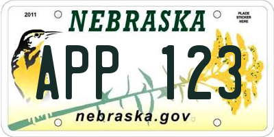 NE license plate APP123