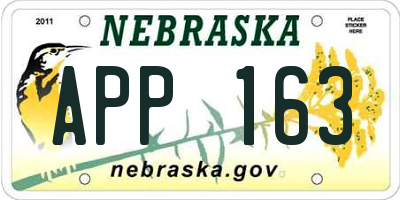 NE license plate APP163