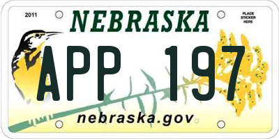 NE license plate APP197