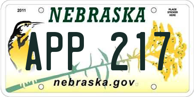 NE license plate APP217