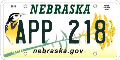 NE license plate APP218