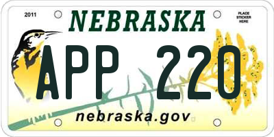 NE license plate APP220