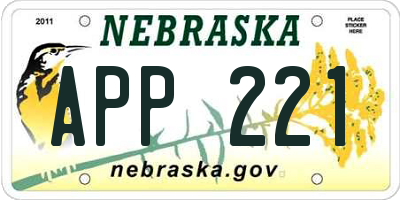 NE license plate APP221