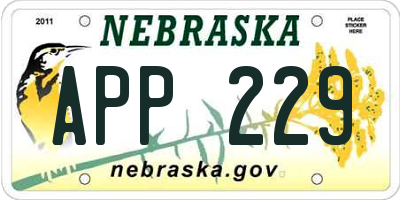 NE license plate APP229