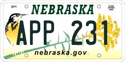 NE license plate APP231