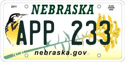 NE license plate APP233