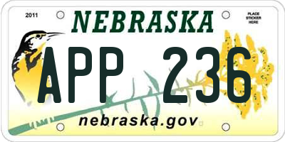 NE license plate APP236