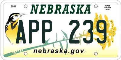 NE license plate APP239