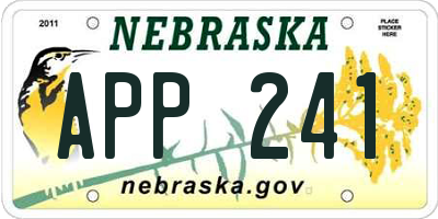 NE license plate APP241
