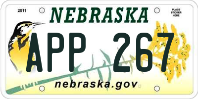 NE license plate APP267