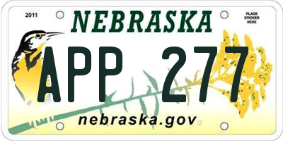 NE license plate APP277