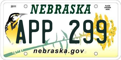 NE license plate APP299