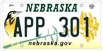 NE license plate APP301