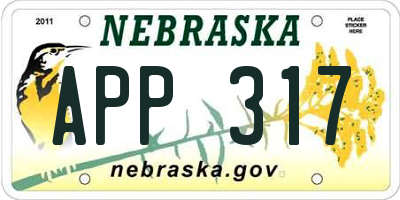NE license plate APP317