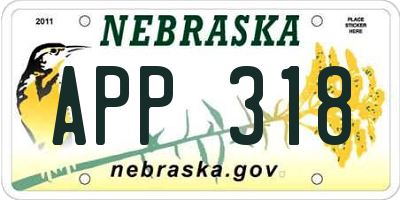 NE license plate APP318