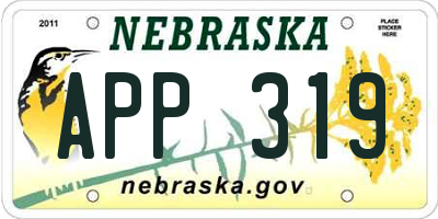 NE license plate APP319