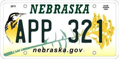 NE license plate APP321