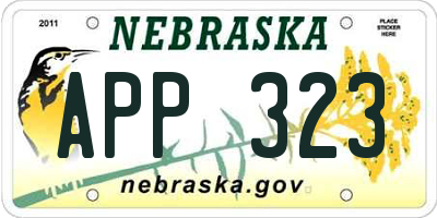 NE license plate APP323