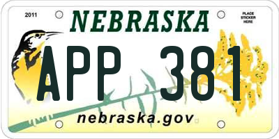 NE license plate APP381