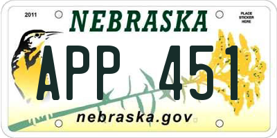 NE license plate APP451