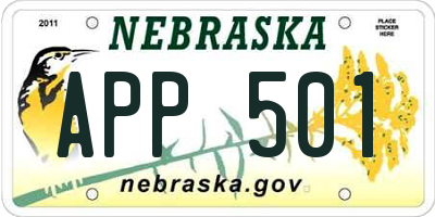 NE license plate APP501