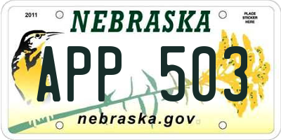 NE license plate APP503