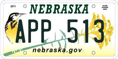 NE license plate APP513