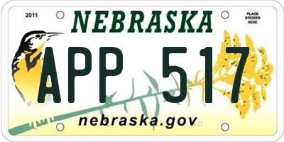 NE license plate APP517