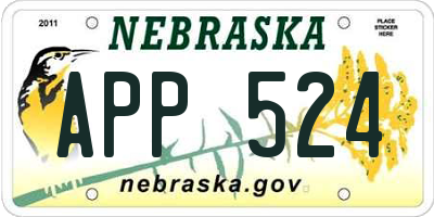 NE license plate APP524