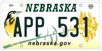 NE license plate APP531