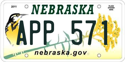 NE license plate APP571