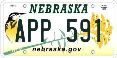 NE license plate APP591