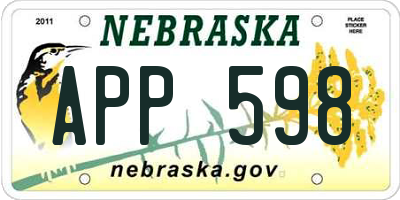 NE license plate APP598