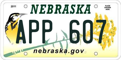 NE license plate APP607