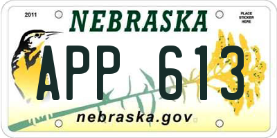 NE license plate APP613