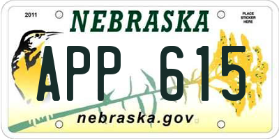 NE license plate APP615