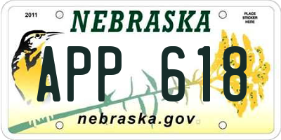 NE license plate APP618