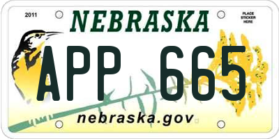 NE license plate APP665