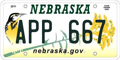 NE license plate APP667