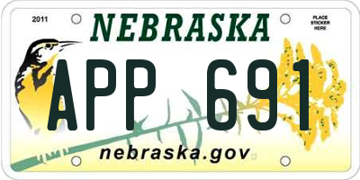 NE license plate APP691