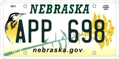 NE license plate APP698