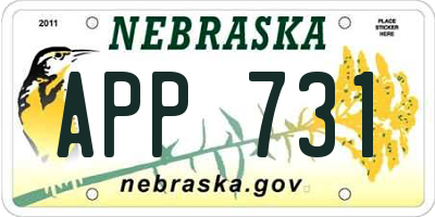 NE license plate APP731
