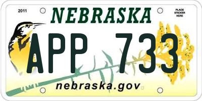 NE license plate APP733