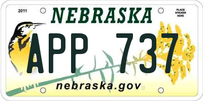 NE license plate APP737