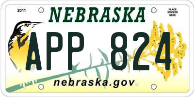 NE license plate APP824