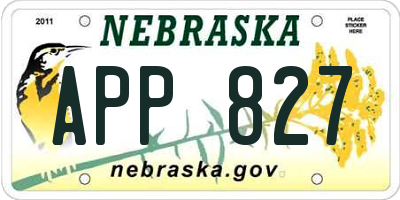 NE license plate APP827