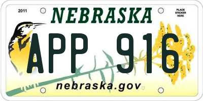 NE license plate APP916