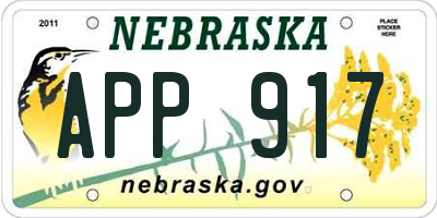 NE license plate APP917