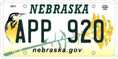 NE license plate APP920