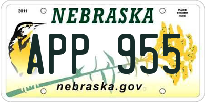 NE license plate APP955